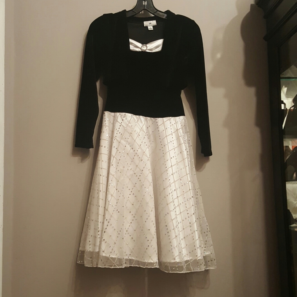 Stunning Velvet and Gold *Sparkle* ivory dress!